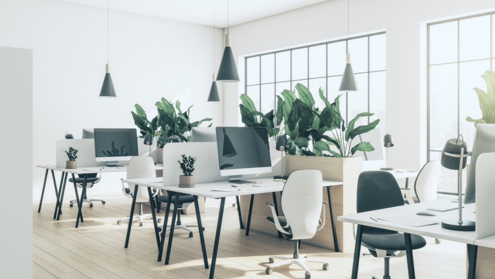 mauritius offshore company setup