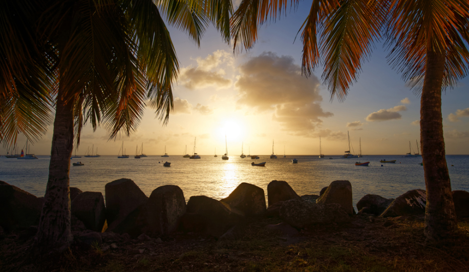 dominica citizenship